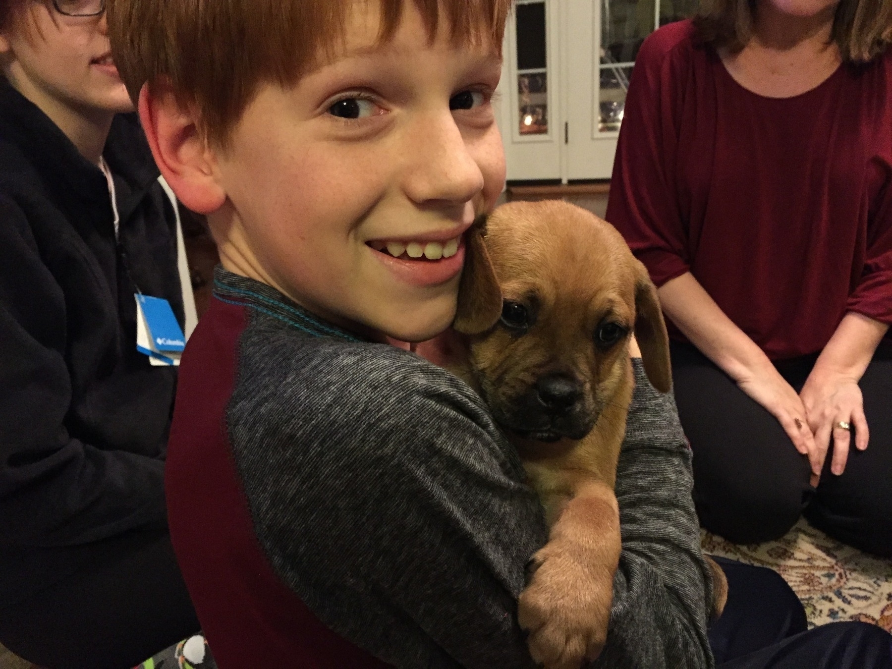 A boy and a Puggle puppy