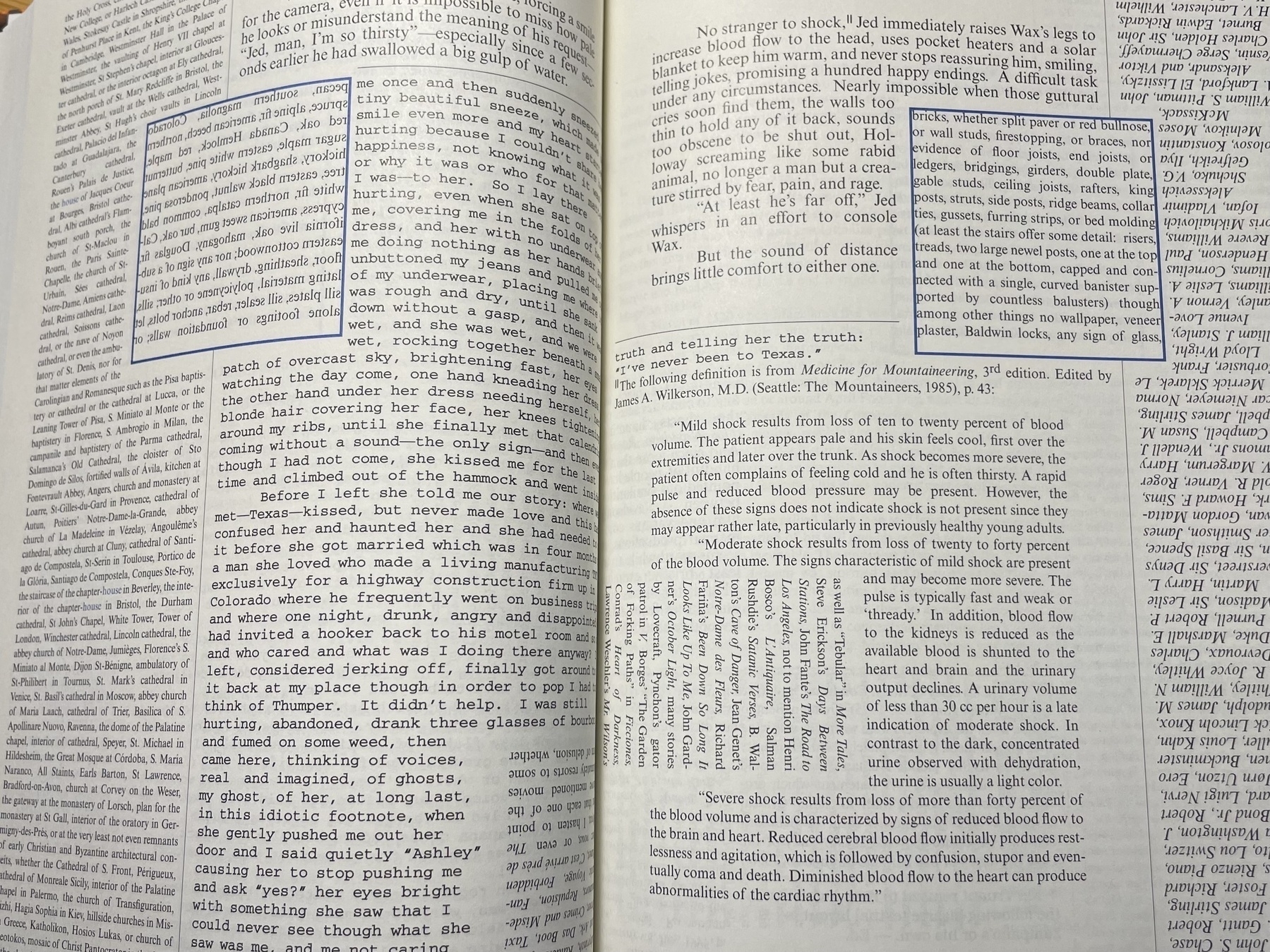 Pages from the House of Leaves by Mark Danielewski.