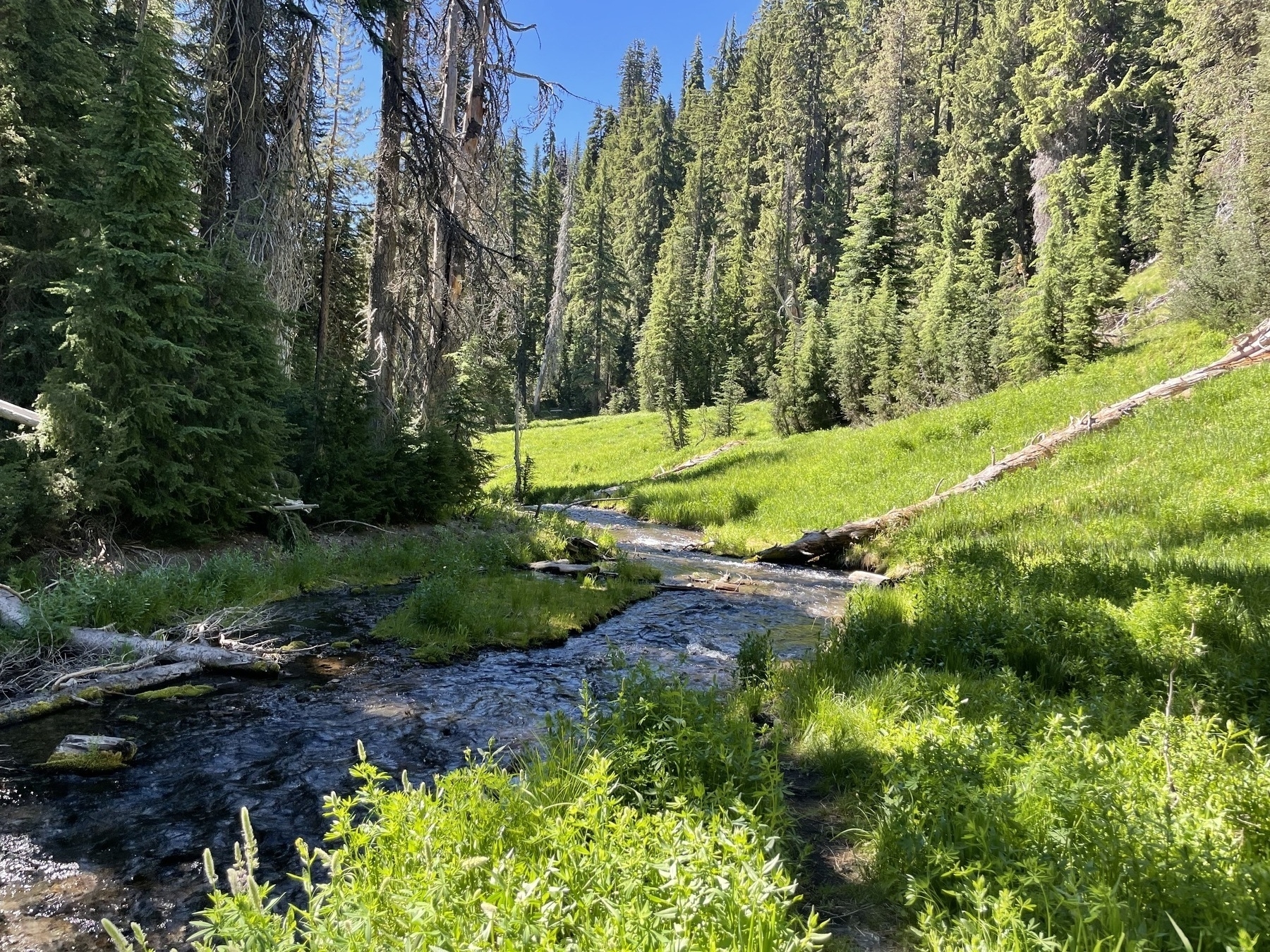 River hike from Crater Lake National Park